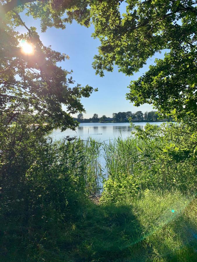 Ferienhaus Seeblick Am Harkebruegger See Mit Sauna Und Kamin Barssel  Exterior foto