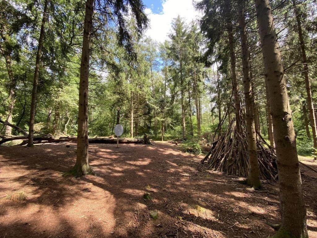 Ferienhaus Seeblick Am Harkebruegger See Mit Sauna Und Kamin Barssel  Exterior foto